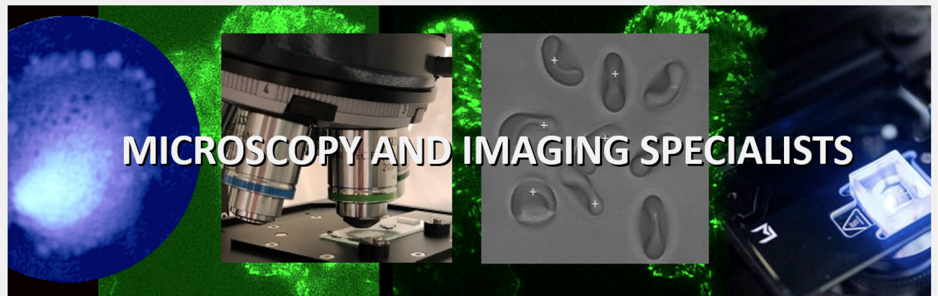 Microscopy and imaging specialists