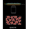 QuScite - Ultra wide  view TIRF imaging and Microscopy