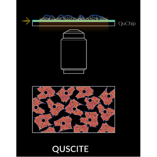 QuScite - Ultra wide  view TIRF imaging and Microscopy